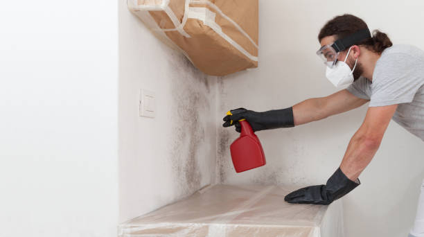 Professional Mold Removal technician working in Farmingville, NY
